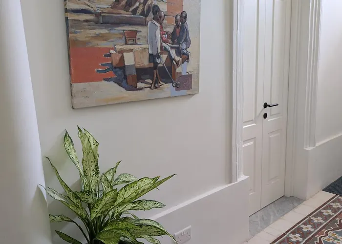 Cosy In Three Cities